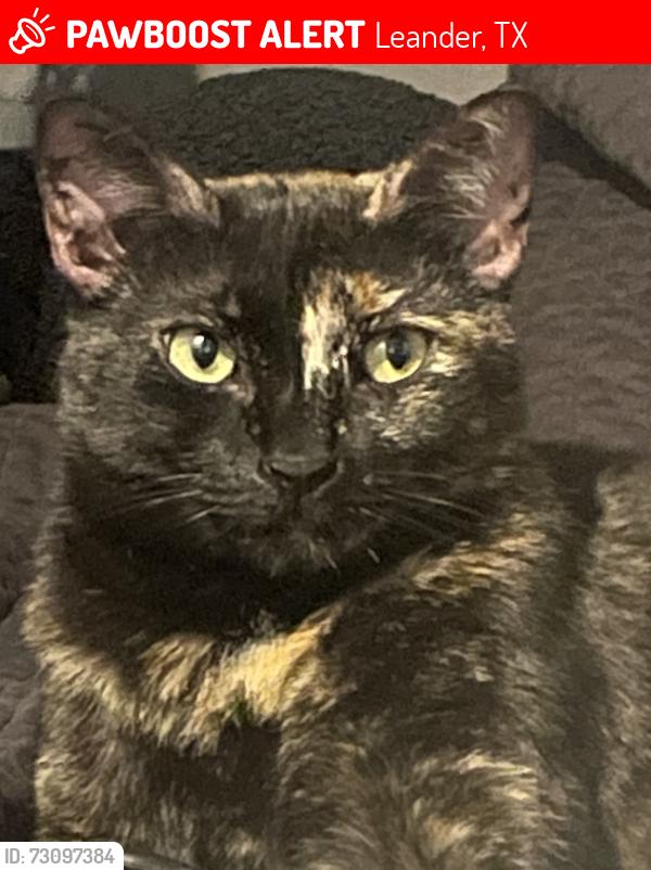 Lost Female Cat last seen Johnson Rd & Trails End Rd, Leander, TX 78641