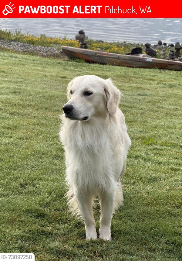 Lost Male Dog last seen Pilchuck School of Glass, Pilchuck, WA 98223