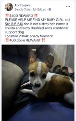 Reunited Female Dog last seen Lowman, Elmendorf, TX 78112