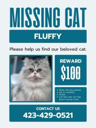 Lost Male Cat last seen Hwy 91, Elizabethton, TN 37643