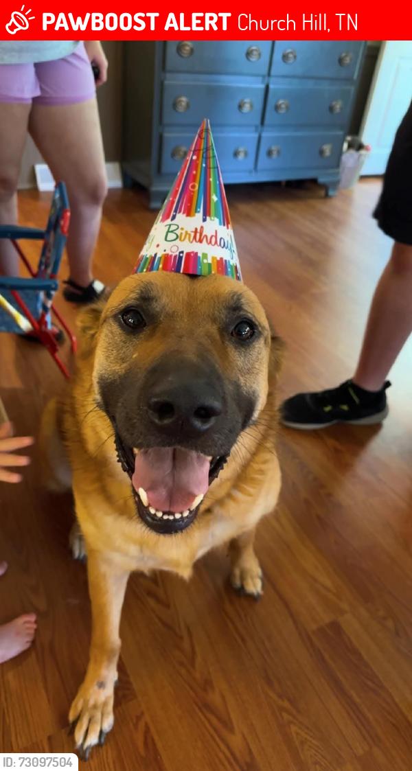 Lost Male Dog last seen wallen town road and carters valley, Church Hill, TN 37642