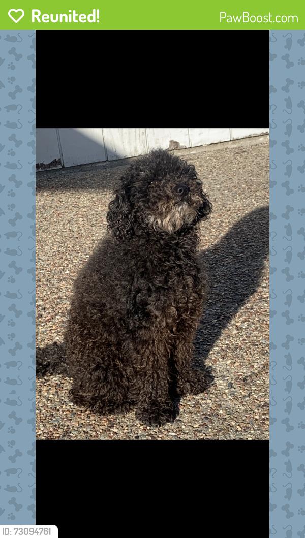 Reunited Male Dog last seen Viewpoint Dr., Rodeo, CA 94572