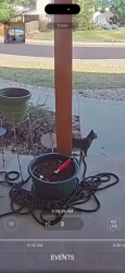 Found/Stray Unknown Cat last seen West Dry Creek/University Forest Patk neighborhood, Centennial, CO 80122