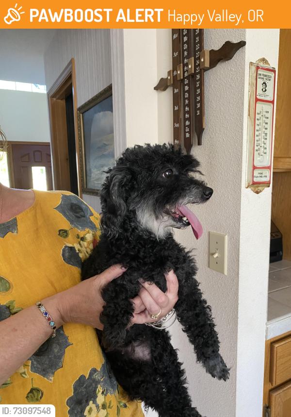 Found/Stray Female Dog last seen Hampshire court and 140th, Happy Valley, OR 97086