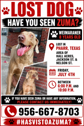 Reunited Male Dog last seen Hall acrees, Fabian st, Pharr, TX 78577
