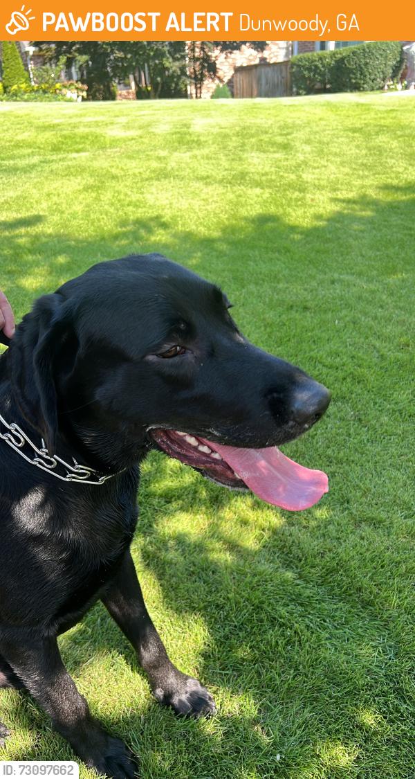 Found/Stray Male Dog last seen Dunwoody Nature Center, Dunwoody, GA 30338