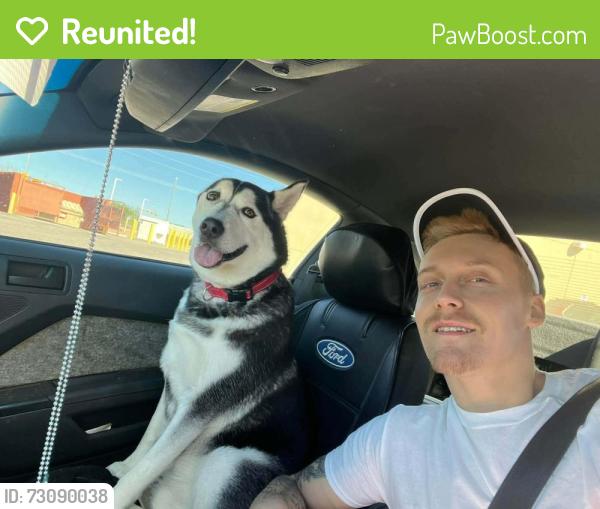Reunited Male Dog last seen Darlington and u.s 19, Holiday, FL 34691