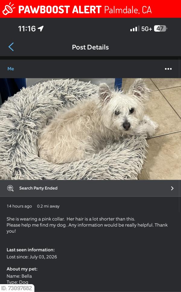 Lost Female Dog last seen Elizabeth Lake & Panther Dr, Palmdale, CA 93551