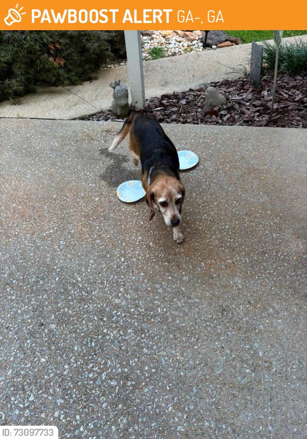 Found/Stray Female Dog last seen Bethesda Church Rd, GA-5, GA 30142