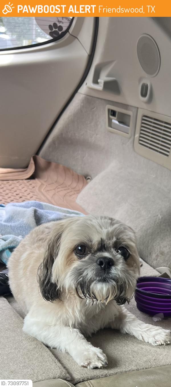 Found/Stray Female Dog last seen Near between Pearland and Friendswood, Friendswood, TX 77546