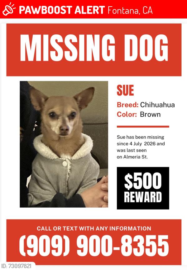 Lost Female Dog last seen Citrus, Fontana, CA 92335