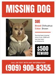 Lost Female Dog last seen Citrus, Fontana, CA 92335