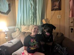Lost Male Dog last seen Como, Dale and Front, Saint Paul, MN 55103