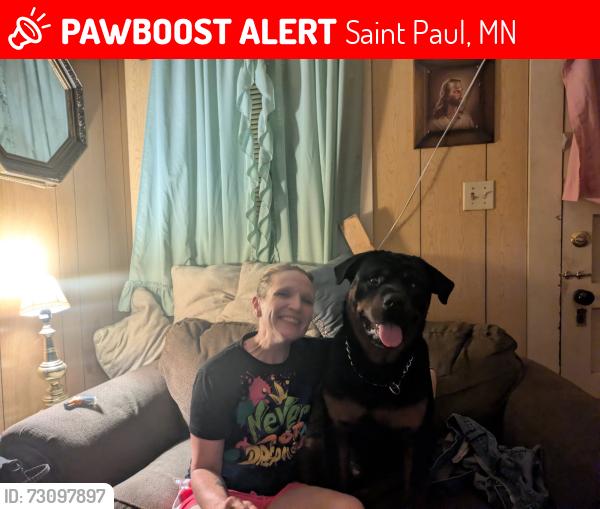 Lost Male Dog last seen Como, Dale and Front, Saint Paul, MN 55103
