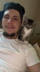 Lost Male Cat last seen Summit, Muskegon Heights, MI 49444