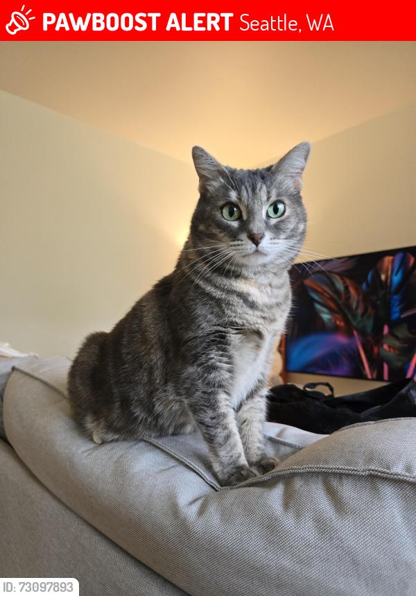Lost Female Cat last seen Elliot Bay Trail, between Port of Seattle Marine Maintenance North and the pink trash can, in the thorny ivy bushes. https://maps.app.goo.gl/KNBmn4TCg3g6MC8dA?g_st=ac, Seattle, WA 98119