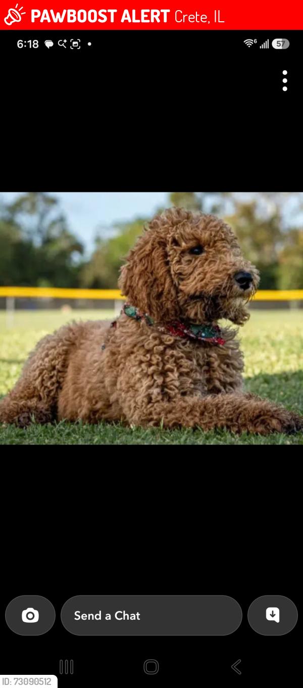 Lost Male Dog last seen Goodenow ave, Crete, IL 60417