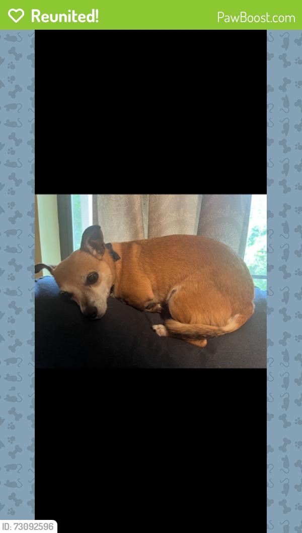 Reunited Female Dog last seen NW 54th Pl & NW 55 Ave, Ocala, FL 34482