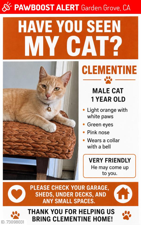 Lost Male Cat last seen Near Mac Duff St., Garden Grove, CA 92841