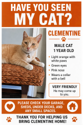 Lost Male Cat last seen Near Mac Duff St., Garden Grove, CA 92841