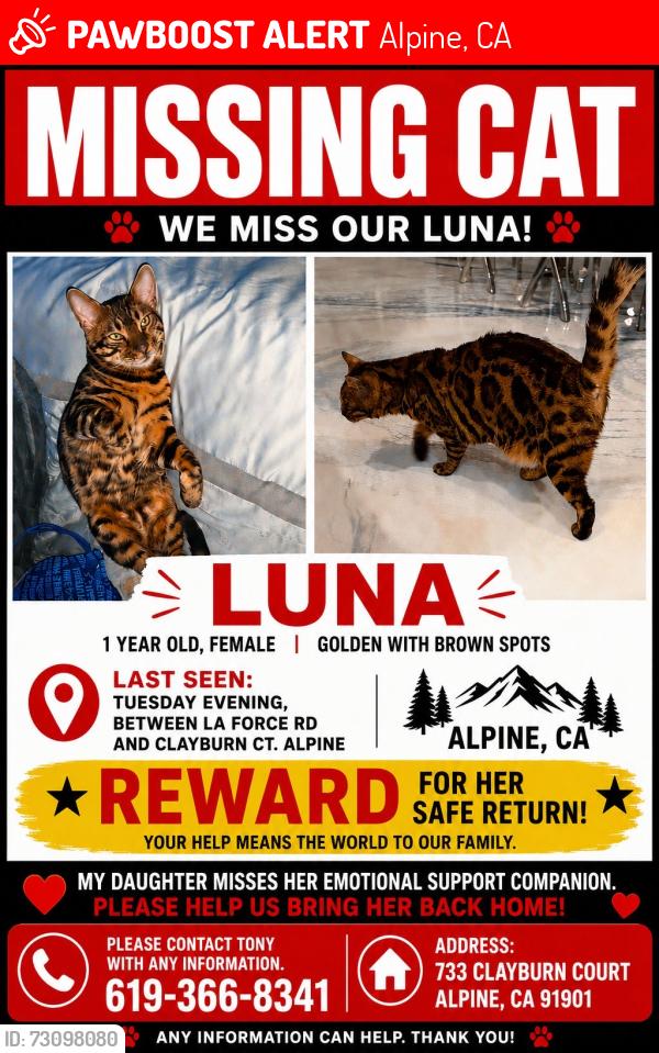 Lost Female Cat last seen Clayburn court, Alpine, CA 91901