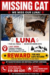 Lost Female Cat last seen Clayburn court, Alpine, CA 91901