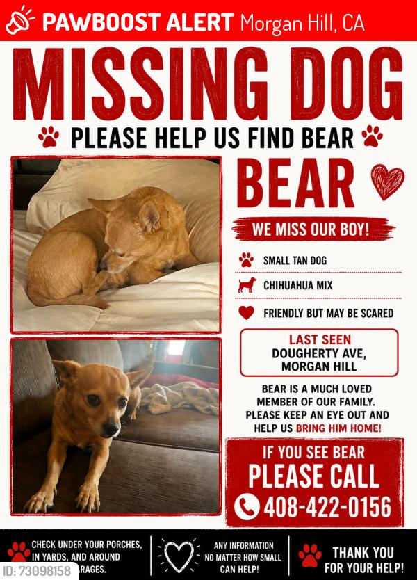Lost Male Dog last seen Miramonte, Morgan Hill, CA 95037