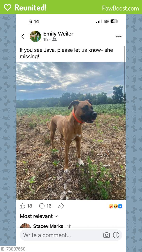 Reunited Female Dog last seen Near Monarch Circle Myerstown , Myerstown, PA 17067