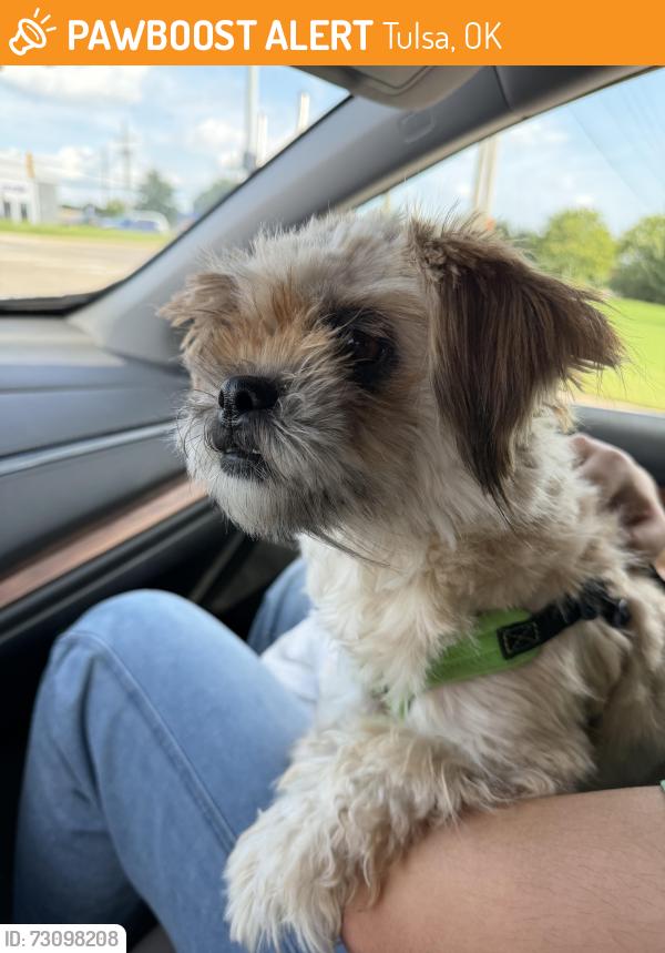 Found/Stray Female Dog last seen S 92nd E Av & E 87th Pl, Tulsa, OK 74133