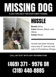 Lost Male Dog last seen Near, Providence Village, TX 76227