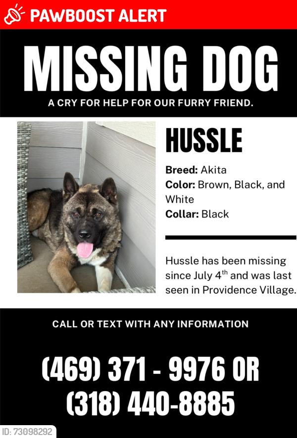 Lost Male Dog last seen Near, Providence Village, TX 76227