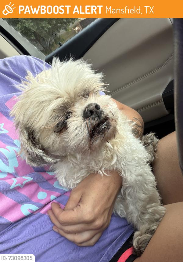Found/Stray Male Dog last seen Greenhill and Lake Creek, Mansfield, TX 76063