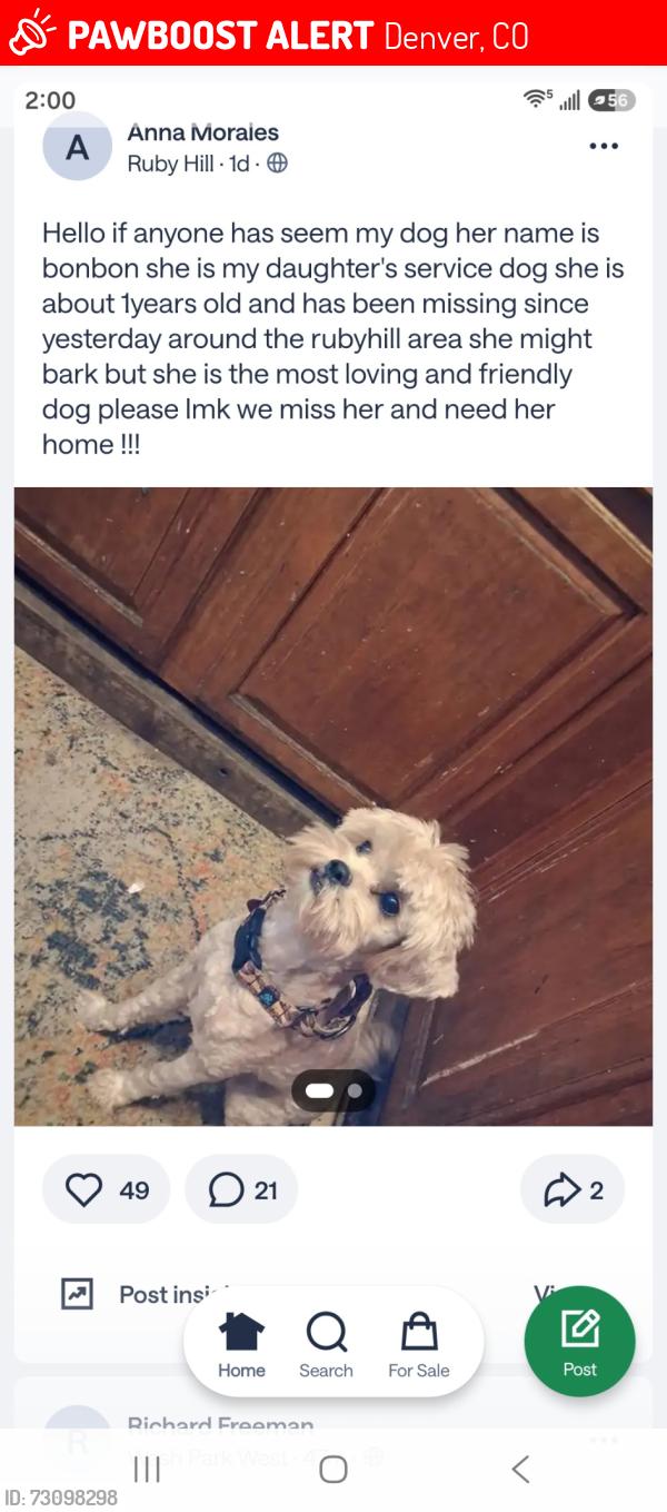 Lost Female Dog last seen Zuni and Mexico, Denver, CO 80219