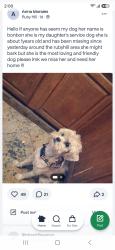 Lost Female Dog last seen Zuni and Mexico, Denver, CO 80219