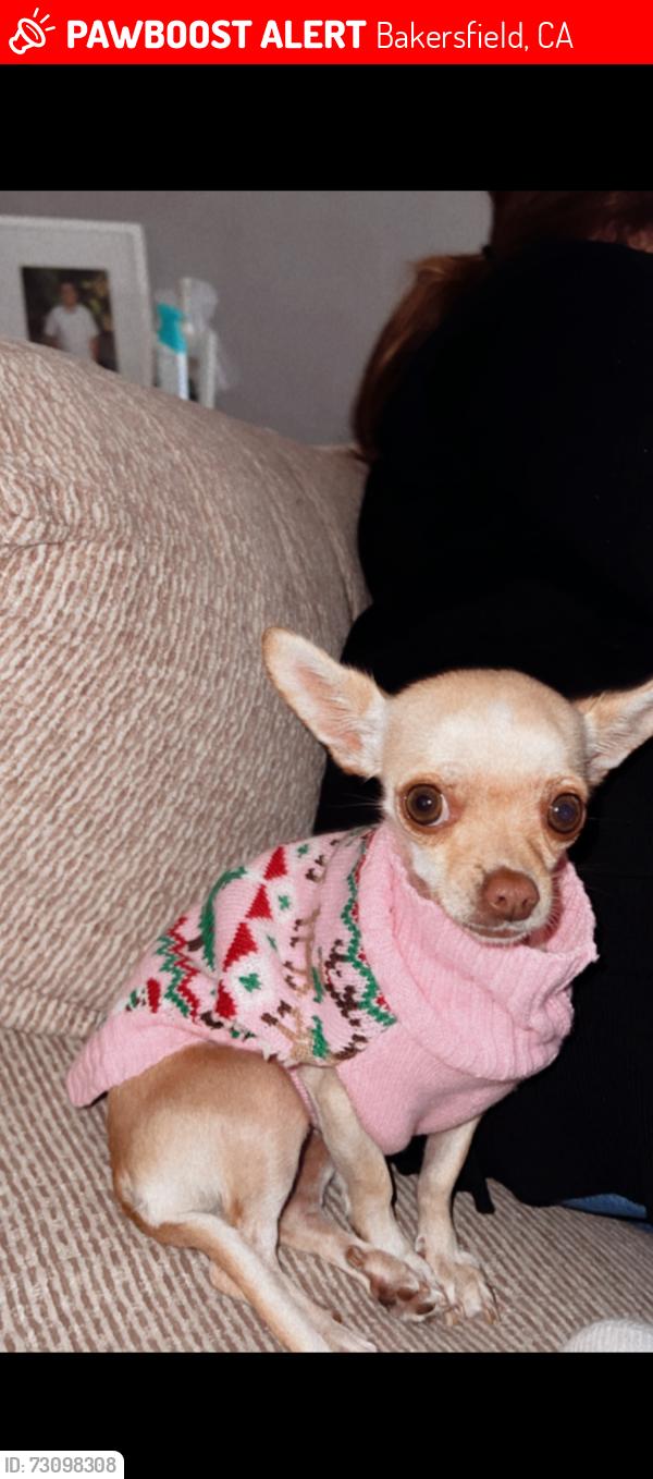 Lost Female Dog last seen Lanneau Ct and Old River Rd, Bakersfield, CA 93311