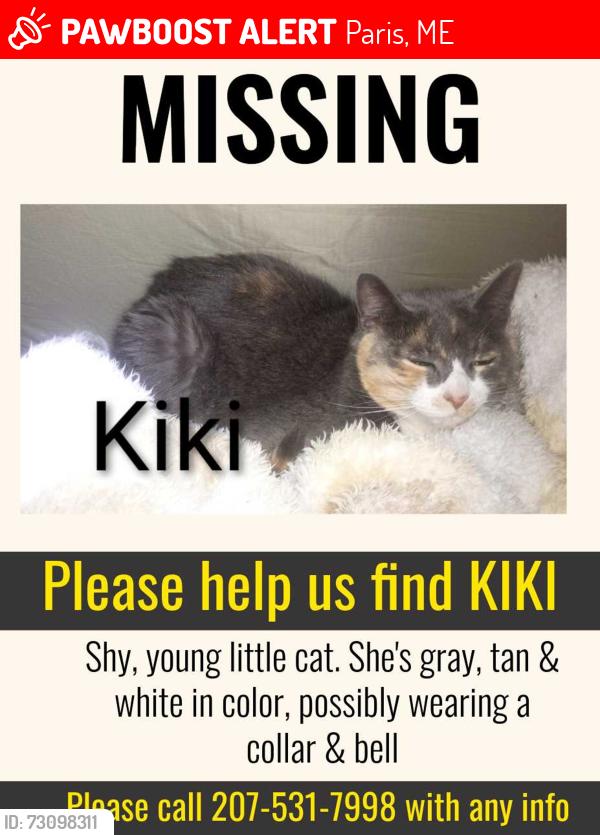 Lost Female Cat last seen Brown Mountain Rd, Paris, ME 04281
