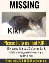 Lost Female Cat last seen Brown Mountain Rd, Paris, ME 04281