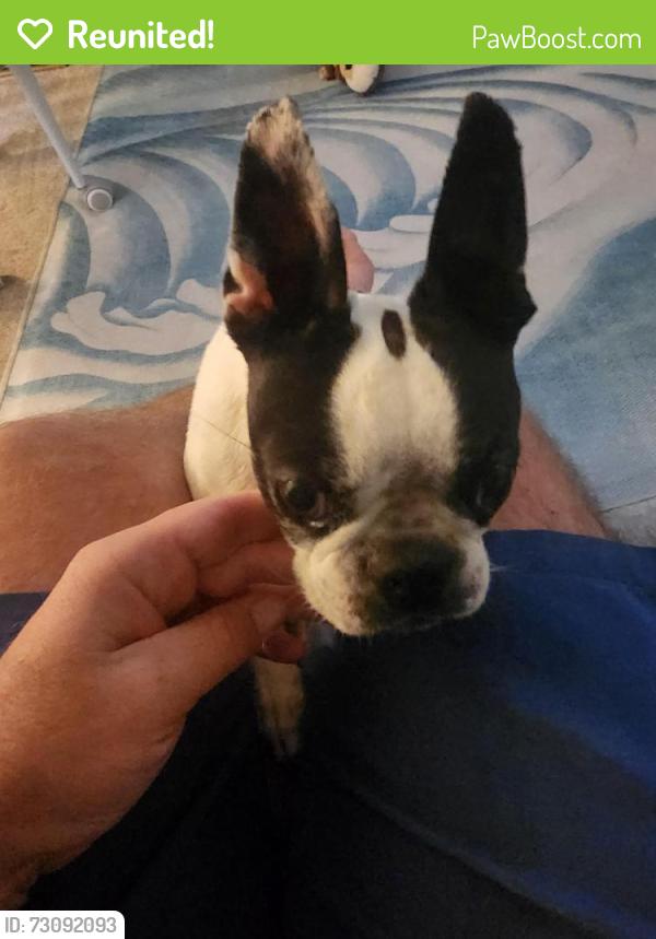 Reunited Female Dog last seen Roxanne and Tiegen, Hayward, CA 94542