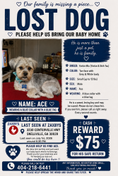 Lost Male Dog last seen Zaxby’s restaurant is where he was last seen, Snellville, GA 30039