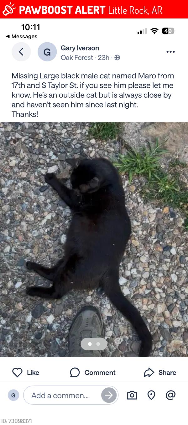 Lost Male Cat last seen 17th and South Taylor St, Little Rock, AR 72204
