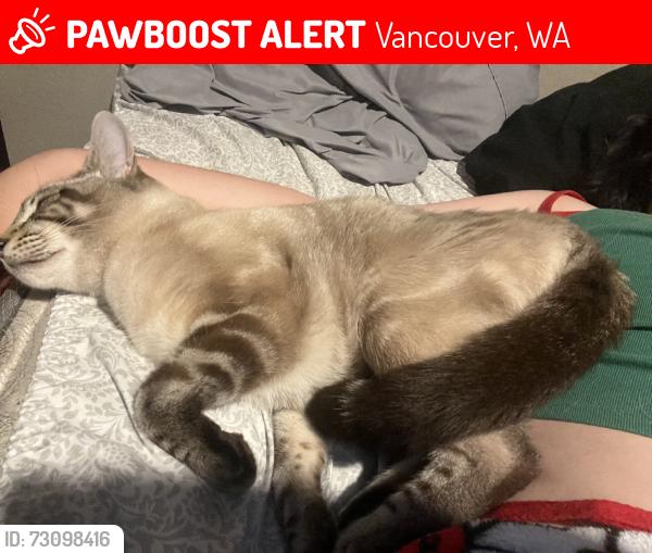 Lost Male Cat last seen 130th and 89th, 136th and 89th, Vancouver, WA 98682