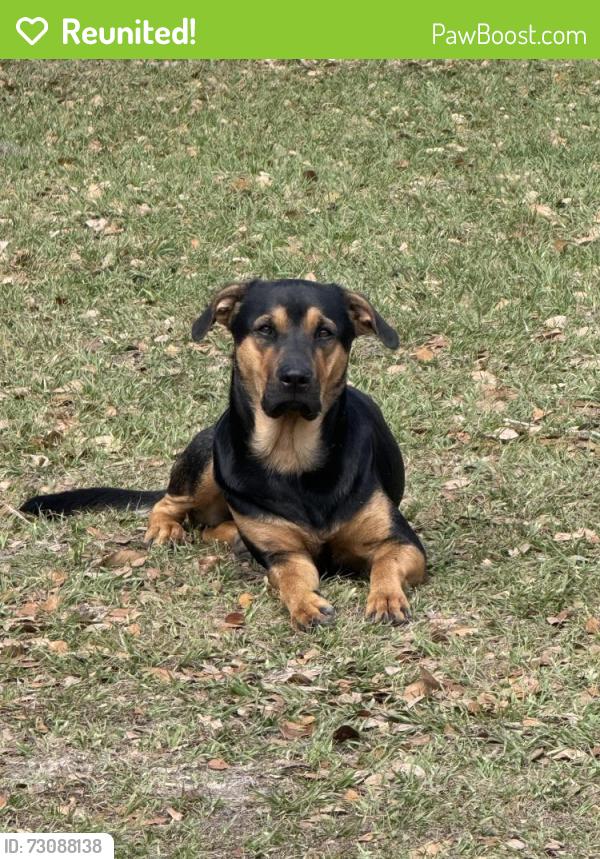 Reunited Male Dog last seen Southeaster cndmniums , New Smyrna Beach, FL 32169