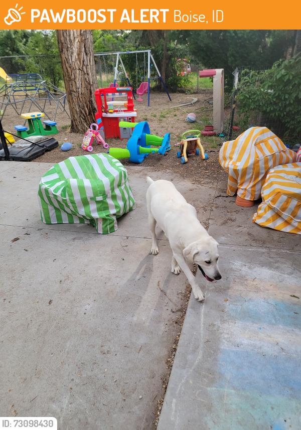 Found/Stray Female Dog last seen 11911w ustick rd, Boise, ID 83713