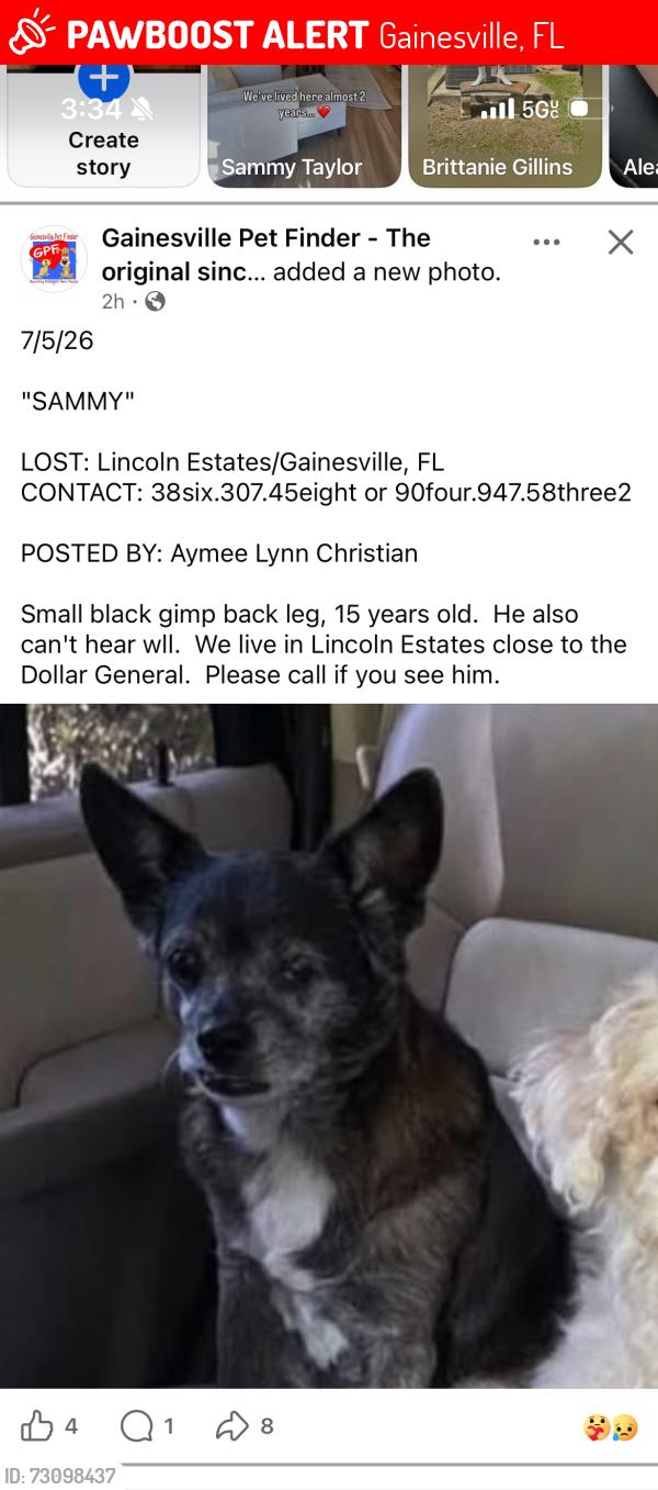 Lost Male Dog last seen Hawthorne Road, Gainesville, FL 32641