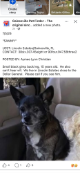 Lost Male Dog last seen Hawthorne Road, Gainesville, FL 32641