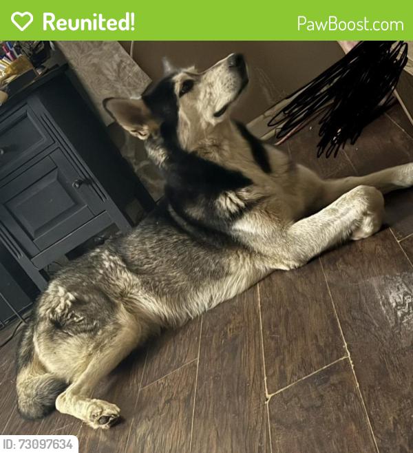 Reunited Female Dog last seen Highway 78 , Center Point Rd, GA 30179