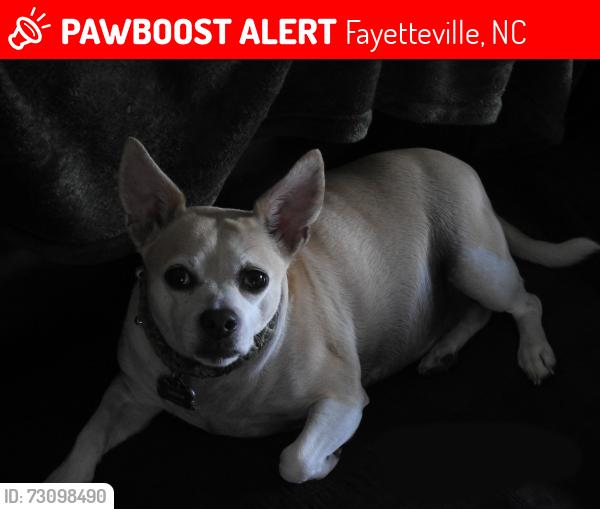 Lost Male Dog last seen nix / belfower, Fayetteville, NC 28314