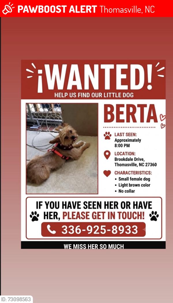 Lost Female Dog last seen Near Brookdale Drive, Thomasville, NC 27360