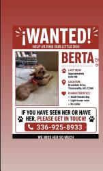 Lost Female Dog last seen Near Brookdale Drive, Thomasville, NC 27360