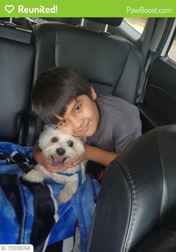 Reunited Female Dog last seen Neighborhood next to Thorton’s food mart, Douglasville, GA 30134